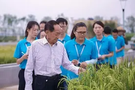 世界杂交水稻之父——袁隆平图片