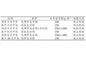 山区栽培嘉宝果提供技术参考闽西嘉宝果栽培技术规程图片