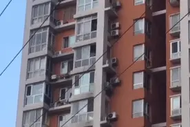 又一起！男子从13楼抛下花盆，已被刑拘图片