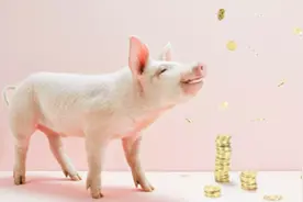 仔猪变“金猪”，弱仔问题不容忽视！教你4招，减少弱仔提高效益图片