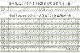 贵州省2020年专升本考试体育分数段统计表图片