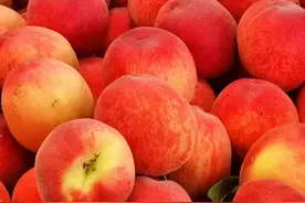 桃子很好吃，但这样的桃树，你可能没见过！图片