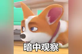 飞狗MOCO的小伙伴：吸……图片