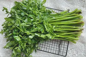 春季限定的水芹菜，脆嫩爽口，遇到千万别错过图片
