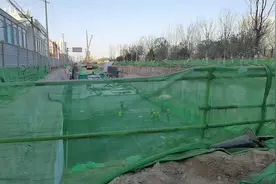 记忆里的幸福林带，看看这跟你的印象一样吗图片