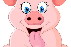 农村人卖猪图片