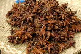 揭秘34种常用香料的名称与用途图片