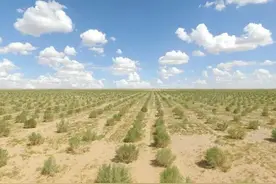 这一次，蚂蚁森林被黑惨了，背后真相可能不简单图片