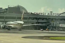 祖孙三人5月底从新加坡飞上海，17小时全记录图片