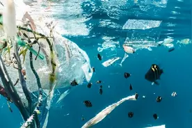 海洋垃圾中85%是塑料，专家：警惕微塑料对人体的影响图片