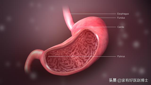 四种“高致癌性”炎症并不少见，降低患癌风险从预防和早诊做起
