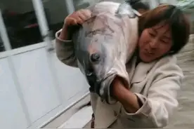 牛人！女子徒手抓获百斤“青鱼王”，邻居：青鱼石价值不菲图片