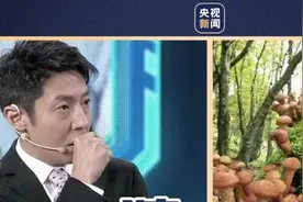 世界上最大的生物是什么？答案你一定想不到图片