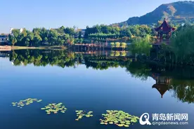 “生态洼地”变身“城市绿肺”李沧这个街道景美了、人笑了图片