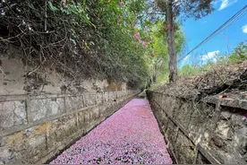 两性关系中，你能接受的最大年龄差异是多少岁？图片