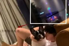 UZI的家，嗨氏的家，梦泪的家，看到张大仙的家：差距有点大图片