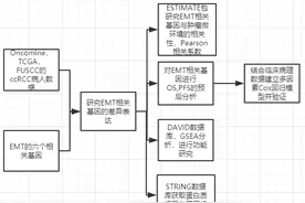 纯生信分析｜EMT基因预后标志物发5+分图片
