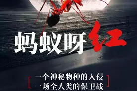 蚂蚁呀黑？蚂蚁呀红！（愚眼观世界20210405）图片