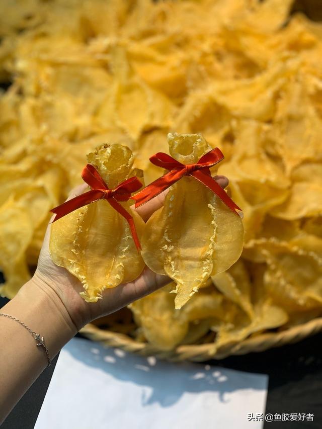 花胶有洞是不是不好 2026年花胶有洞是不是不好食用