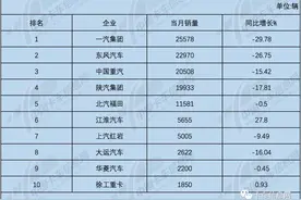 东风夺第二、大运进前三…3月份重、中、轻、微卡销量排行榜出炉图片