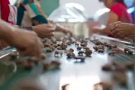 每天过万斤宜昌蜜桔、随州香菇“飞”向全国，湖北农产品疫后借电商突围图片