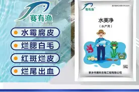 「水美净」水霉、鳃霉等引起的真菌性疾病克星图片