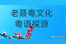 粤语探源：一皮嘢图片