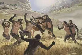 人类的体质并不强，为什么大部分猛兽还是怕我们？是因为智慧吗？图片