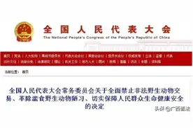 @广西养殖户，补偿标准定了！竹鼠180元/只，果子狸1000元/只…图片