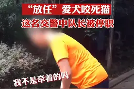 交警中队队长放任爱犬咬死猫咪！后续来了：已被停职，当地公安局将认真调查严肃处理图片