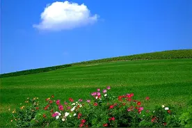 部编版八下语文古诗文理解性默写整理图片