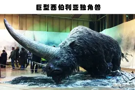 奇特的灭绝生物：人类或许会庆幸已经灭绝的7个可怕生物图片