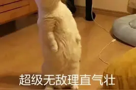 微信今天更新，这个功能又回来了图片