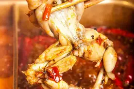 “仔姜美蛙”夏天吃冷淡杯一道必点的菜，开胃又下酒做法如此简单图片