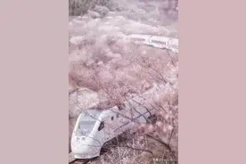 国内就有日本同款花海火车，6块钱就能坐到底，将迎来最美春天图片