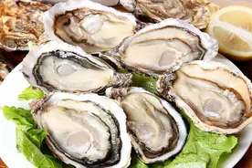 生蚝的季节-你吃对了吗？图片