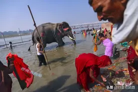 拖垮印度的恒河：大肠杆菌超标20万倍，威胁4亿人的健康图片