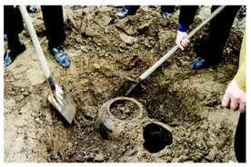 在自家宅地挖出宝藏，究竟是该上缴还是据为己有？看看专家怎么说图片