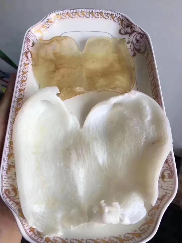 蝴蝶胶和花 蝴蝶胶花胶