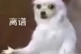 求真！中国的保险到底还能不能买？图片