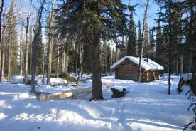 现实版绝地求生，1个人1把枪，丛林生活40年图片