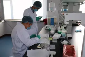 畜牧兽医专业好不好？图片