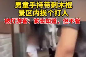 男孩景区持木棍挨个打人 被打游客：家长知道 但不管图片