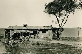 故事：聊斋中最恐怖的故事：女子尸变杀人，其实是一桩盗尸杀人的奇案图片