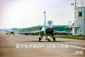 歼-10的“低可视涂装”首次亮相！网友：见过的最难看的飞机图片