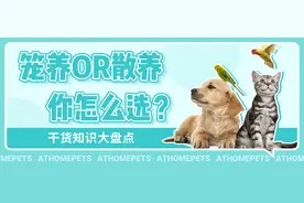 “你家狗狗是笼养的？也太残忍了吧！”图片