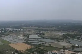 【小康社会-博罗的生动实践】杨村镇：昔日贫困户脱贫致富 生活越过越红火图片