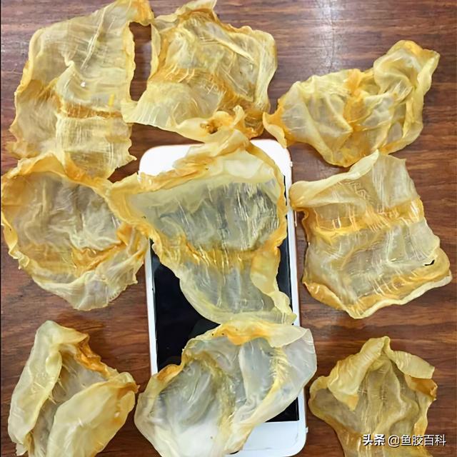 花胶存放方法 花胶存放方法视频