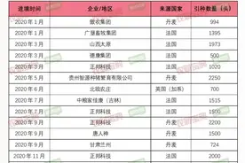 种猪进口数量统计图片
