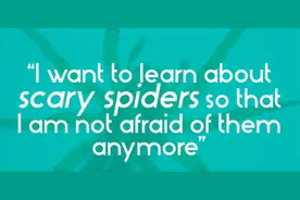 蜘蛛有那么可怕吗图片